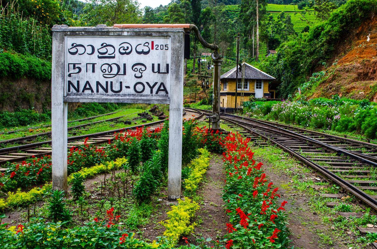 The Train View Bed & Breakfast Nuwara Eliya Exterior photo